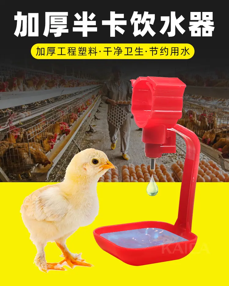 详情_01