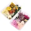 Personaliza Todo Tipo de Flores Secas Inmortalizadas Mixtas Paquete de Materiales DIY Flores Reales Flores Secas Vela Abanico Marco de Fotos Caja de Materiales de Flores Secas