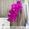 9 Piezas de Película Phalaenopsis Flores Artificiales Simuladas Flores de Seda Auditorio de Bodas Fila de Flores Decoración Floral Adornos de Sala de Estar de Alta Gama