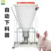 Cubo de Alimentación Seca y Húmeda de Acero Inoxidable para Cerdos, Comedero para Cerdos, Cubo Alimentador Automático de Plástico, Fama Agriculture