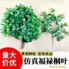 Folhas artificiais de azevinho e árvore da sorte, galhos e folhas falsas laminados, folhagem verde para paisagismo de jardim, plantas decorativas