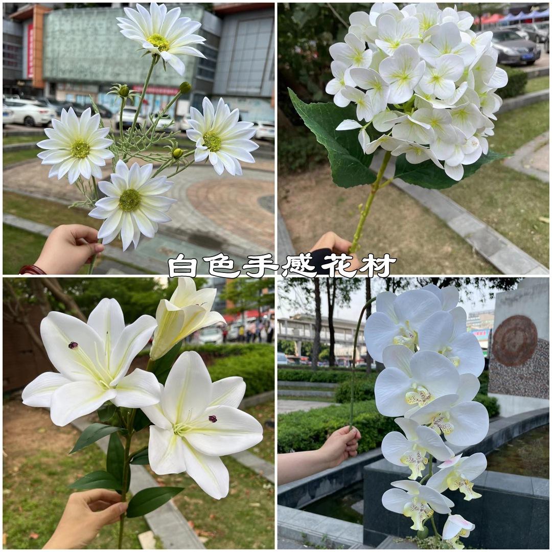 微信图片_20220612105849