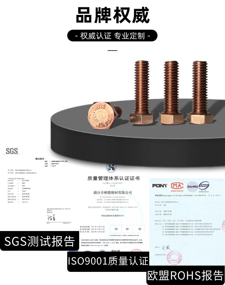硅青铜外六角螺栓1 (3)