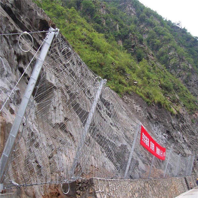 被动防护网8