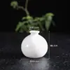 Jarrón Pequeño de Cerámica Blanca Botella de Jade Cerámica Decoración del Hogar Jarrón de Cerámica Flor Seca Hidropónico Aromaterapia Botella Pequeña