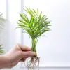 Jarrón de cristal creativo para arreglos florales de sala de estar, recipiente hidropónico transparente simple para plantas pequeñas, maceta de boca estrecha