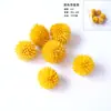 Flores Secas e Frutas Secas Material DIY Pinhas de Algodão Canela Limão Adereços de Tiro Jardim de Infância Pacote de Material Artesanal DIY