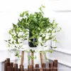 Clematis de Simulación Hoja de Helecho Hoja de Simulación Chlorophyllum Planta Verde Material para Arreglos Florales Decoración para el Hogar y Bodas Madreselva de Simulación