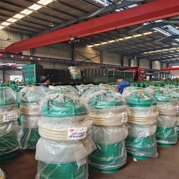 BQS240-100/2-132/N潜水泵 内装式电泵 使用寿命长 BQS排沙排污潜水泵