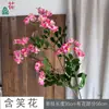 Flores de Forsythia, Flores Artificiales Estilo Jardín con Flores Estrelladas, Decoración del Hogar, Arreglo para Fotografía de Bodas, Flores Falsas, Venta al por Mayor