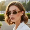 Gafas de Sol Retro Europeas y Americanas de Estilo Nuevo de Moda con Montura Pequeña Estilo Callejero Versátiles de Gama Alta Lisas Gafas de Influencer