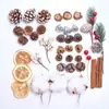 Pinhas Secas Naturais Materiais de Decoração para Árvore de Natal Fotografia de Bolos e Sobremesas Adereços para Fotografia de Buquês Florais Baoshi