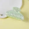 Pinza para el Cabello de Acrílico de Venta Caliente Estilo Coreano Pinza Sencilla para el Cabello Pinza Tiburón Tamaño Mediano Pinza Elegante para Cola de Caballo Accesorios para el Cabello de Mujer Estilo Mori
