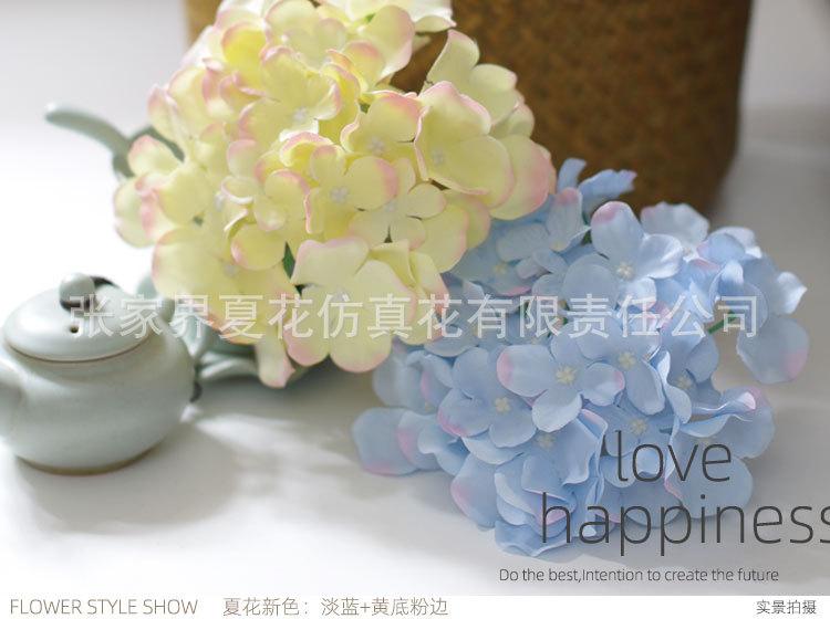 绣球_05.jpg