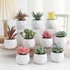 Plantas en Maceta de Suculentas de Diamante Simuladas al por Mayor, Decoración del Hogar, Plantas Suculentas para Oficina, Adornos de Plantas Verdes, En Stock, Entrega Inmediata