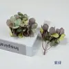 Kit de Materiais para Headdress de Flor de Hortênsia em Cores de Outono para Pintura a Óleo, 16 Peças, Acessórios para Grampo de Cabelo, Venda Quente Transfronteiriça, Kit de Material DIY, Decoração de Caixa de Presente