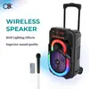 O8K Bt-2080 Novo Alto-falante Bluetooth Portátil de Exportação 8 polegadas Haste de Puxar Longa Vida Ao Ar Livre Multifuncional