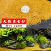 Arena de fondo para acuario, piedras decorativas, juego completo de piedras florales de lluvia ecológicas naturales, piedras luminosas y piedras en bruto