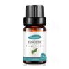 Empaque Completamente en Inglés Aceite Esencial Único de Árbol de Té para Fragancia de Velas DIY, Aceite Esencial de Árbol de Té, Aceite Esencial de Aromaterapia de Árbol de Té