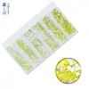 Venda Quente Transfronteiriça Cor para Nail Art Diamante para Nail Art Broca de Vidro com Fundo Plano Strass para Nail Art Acessórios de Joias DIY