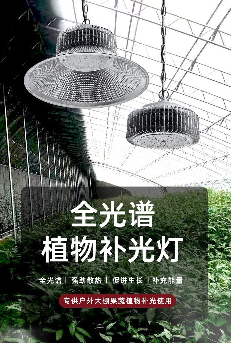 工矿灯_01.jpg