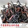 Muestras Directamente del Fabricante para Degustación de Prueba, Paquete de Prueba de Muestra de Té Suelto de 16 g, Té Negro de Yunnan, Té Pu'Er, Té Blanco, Té Maduro
