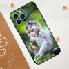 Capa de celular adequada para iPhone 15, limpa, fofa, macaquinho, natureza