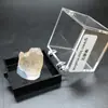 Cristal Natural Minério Rocha Pedra Bruta Cristal Mineral Ornamentos Presente de Ensino de Ciências para Crianças Coleção de Espécimes de Minério