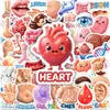 Nuevo Set de 50 Pegatinas de Órganos Humanos Lindos de Dibujos Animados para la Iluminación Cognitiva Infantil, Divertidas Pegatinas Decorativas Impermeables