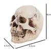 Especimen de Cráneo Médico Molde Médico Cráneo de Resina Halloween Accesorios de Calavera Manualidades Modelo de Calavera