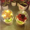 Luminária à Prova de Poeira de Plástico Transparente Abajur Bola de Cristal Suporte de Estrela DIY Luz Noturna DIY Luminosa Criativa