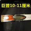 Pez Luchador de Siam fácil de criar Pez Gourami Gigante pez ornamental pez de agua fría alevines cambiar agua no necesita fuego australiano otro