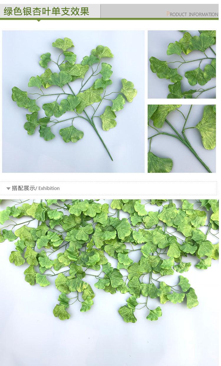 银杏叶详情_18.jpg