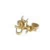 AME Hebilla de cobre para arco y flecha Hebilla de posicionamiento Hebilla de cobre de posicionamiento de cuerda de arco Hebilla en forma de U Hebilla de posicionamiento de punta de flecha para arco recurvo compuesto