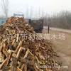 Leña seca, madera de azufaifo, madera densa y dura, duradera y adecuada para barbacoa, asado de pato, cocción en horno de leña, pan y pizza