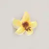 Clip de flor de Narciso Nuevo Elegante Transfronterizo Pinza para el pelo de Plumeria de Hada Pinza de Tiburón Pinza para el Cabello de la Parte Posterior de la Cabeza Accesorio para el Cabello