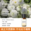Vela de Aromaterapia para Plantas Transfronteriza Aceite Esencial Aceite Único Soluble en Aceite Jabón Artesanal DIY Jabón en Frío Bálsamo Vela Aceite Esencial de Aromaterapia