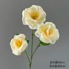 Palco de casamento de 24 anos paisagismo cor champanhe teto bonito flor de simulação Chen adereços de fotografia de hotel flor artificial