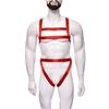 Bambú como ropa suministro transfronterizo arnés de cableado hueco sexy ropa de rendimiento de una pieza para hombre ropa interior sexy NZN0016