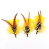 Precio de Fábrica Amazon Explosiones Sombrero de Plumas Decoración de Flores Accesorios de Prenda Broche Accesorios Material de Decoración de Plumas de Pollo