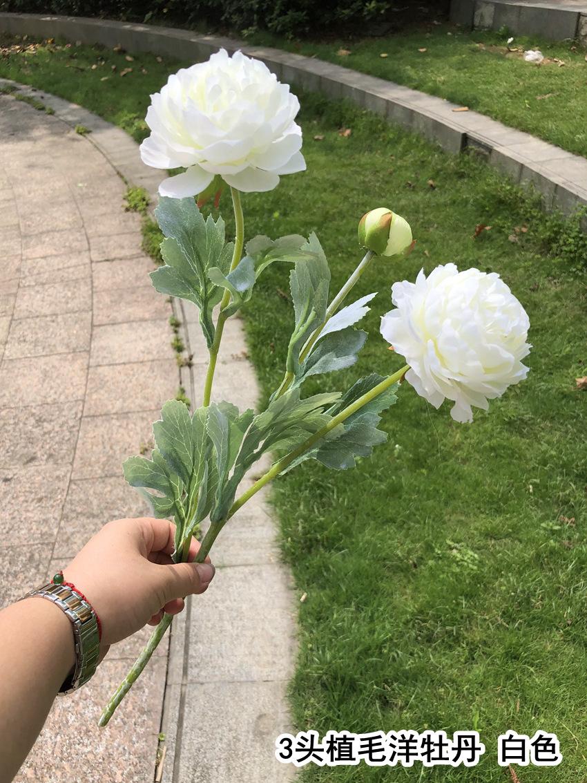微信图片_20190519152348_副本