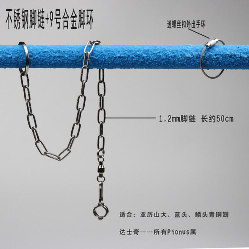 9链
