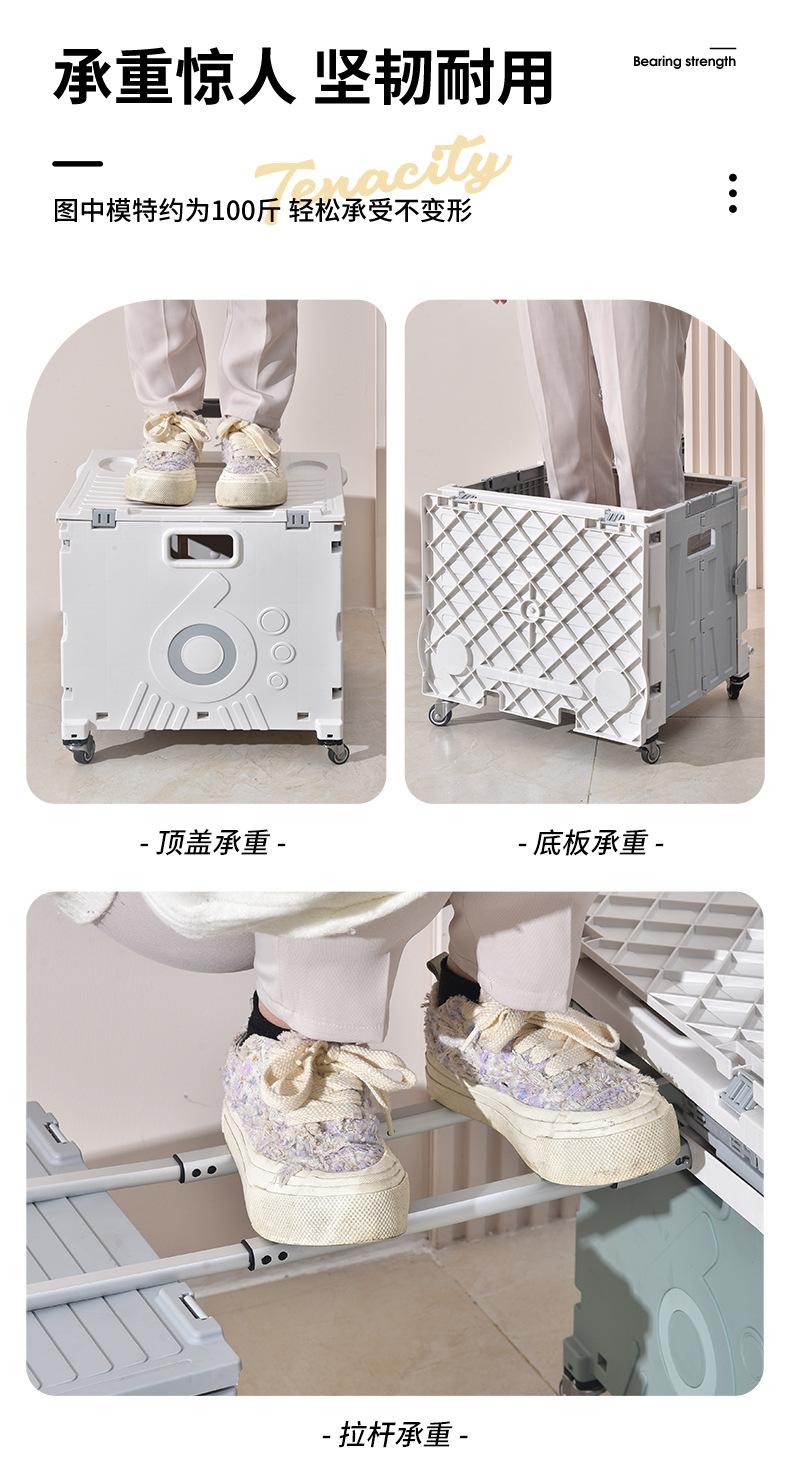 拉杆车_09.jpg