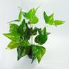 Planta de simulación nórdica amazónica transfronteriza, hoja de aura verde, hoja persa, flor, planta de pared con paisaje de césped