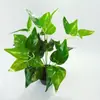 Plantas Simuladas Nórdicas de Amazon Transfronterizo Plantas Verdes de Eucalipto Ramo de Hierba Persa Pared de Plantas con Paisaje de Césped
