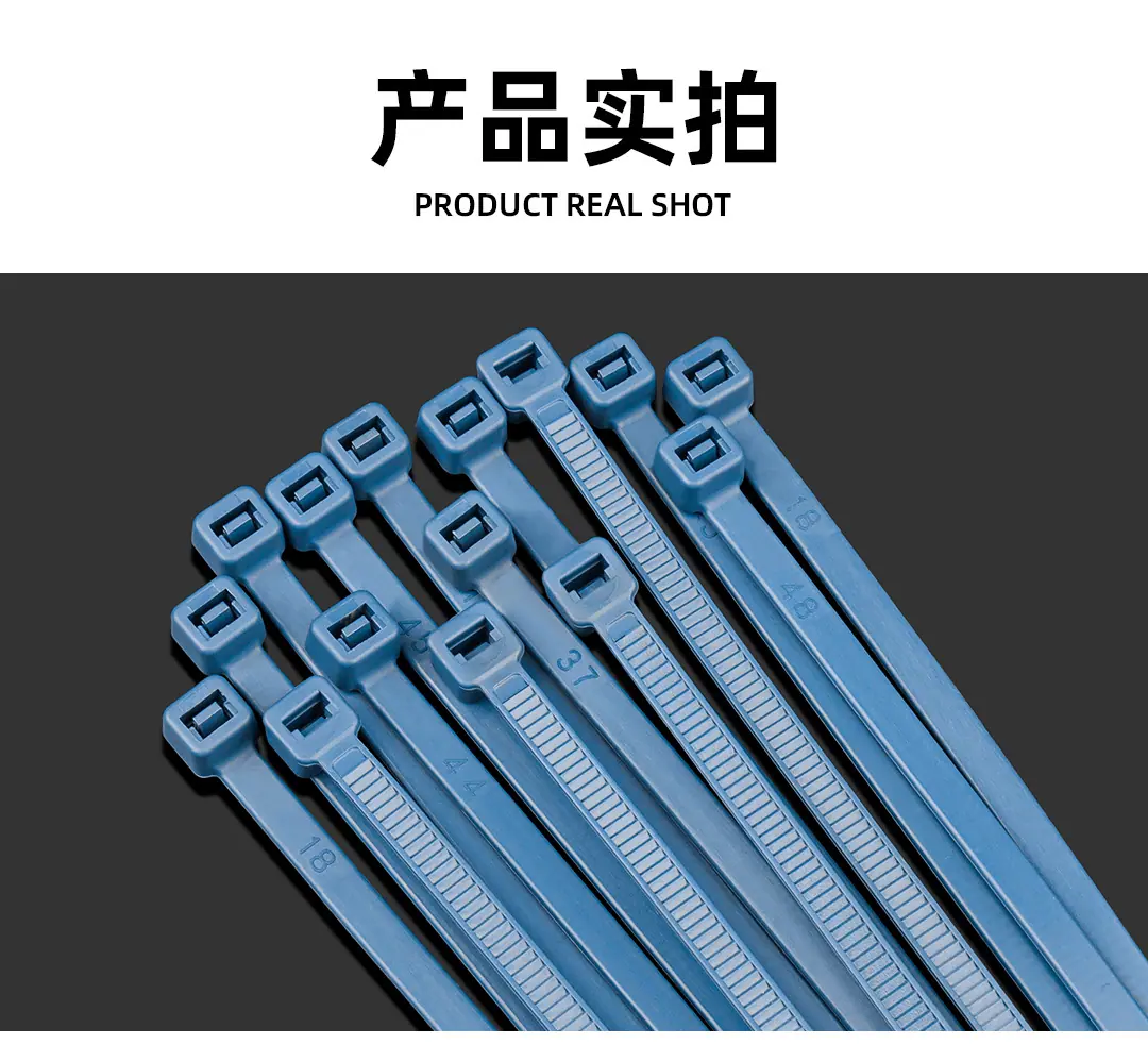 未标题-2_10.jpg