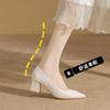 Zapatos de Tacón Alto Color Nude Nuevo Estilo Primavera y Verano Elegantes Punta Fina Boca Baja Zapatos de Oficina para el Trabajo Moda Tacón Grueso Zapatos de Salón para Mujer