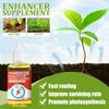 Yegbong Nutrientes para Plantas Cultivo de Flores para Plantas Frutas y Verduras en Maceta Enraizamiento Fertilizante Concentrado Solución Nutritiva Universal