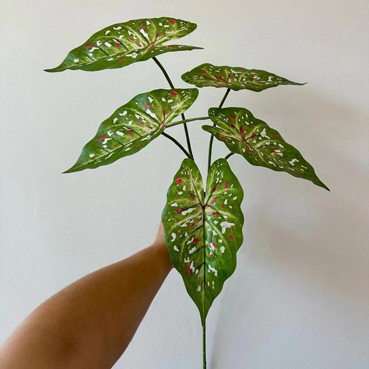 5叉3D打印芋叶-白波点绿色.jpg