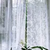 Cortinas de Gasa de Encaje Color Café con Leche de Lujo Ligero Francés Translúcidas pero Opacas Cortinas Transparentes Estilo Ins para Dormitorio Ventana Saliente de Gama Alta